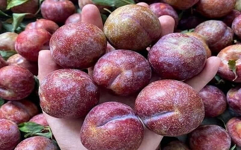 sinh tố mận ảnh 5