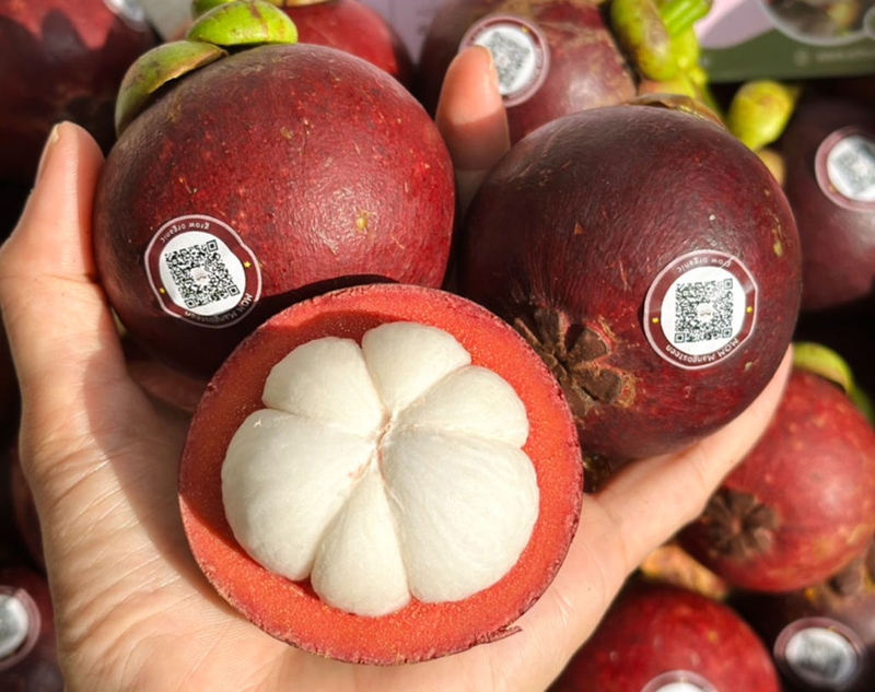 Sinh tố măng cụt - 06