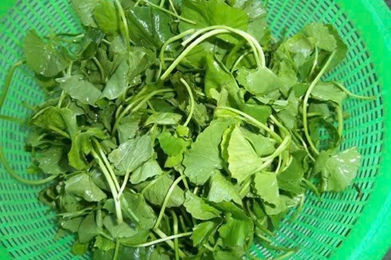 sinh tố rau má đậu xanh ảnh 1