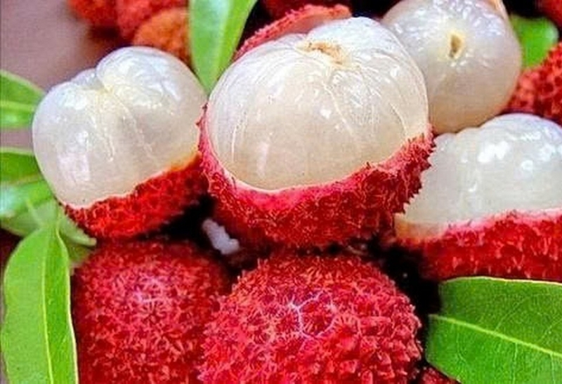 siro vải ảnh 6