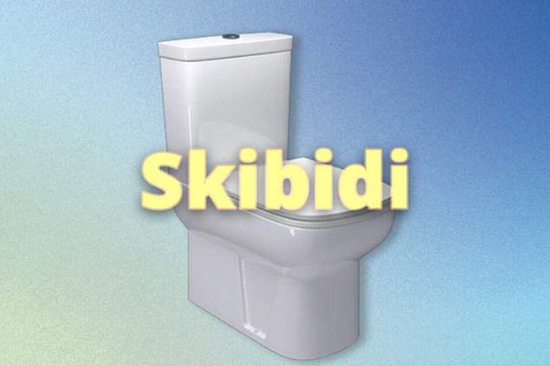 Skibidi là gì 3