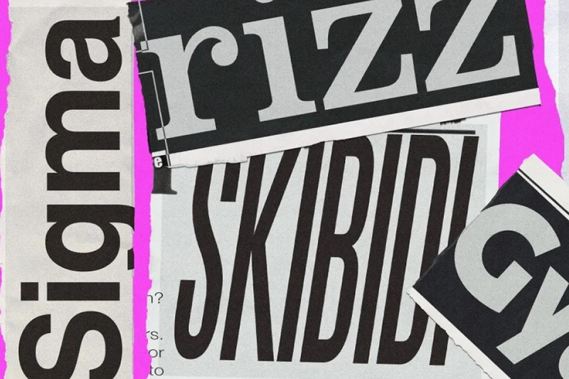 Skibidi là gì 6