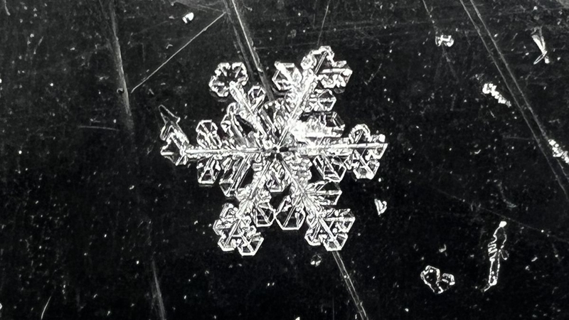 Snowflakes là gì