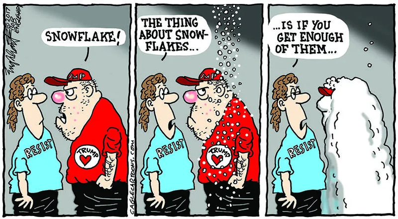 Snowflakes là gì