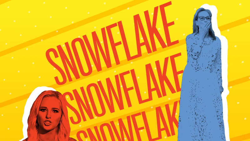 Snowflakes là gì