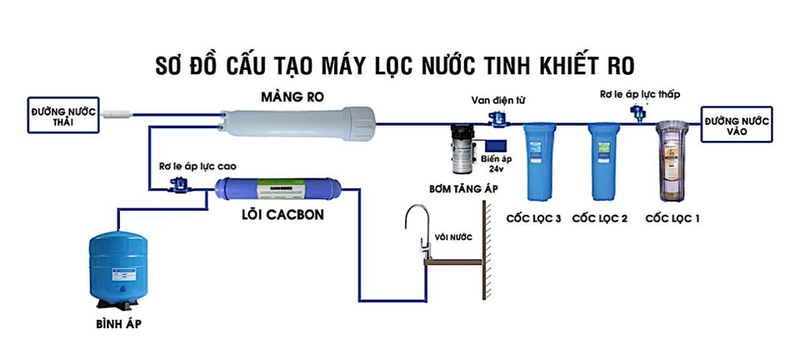 Lõi số 9 có khả năng tiêu diệt vi khuẩn