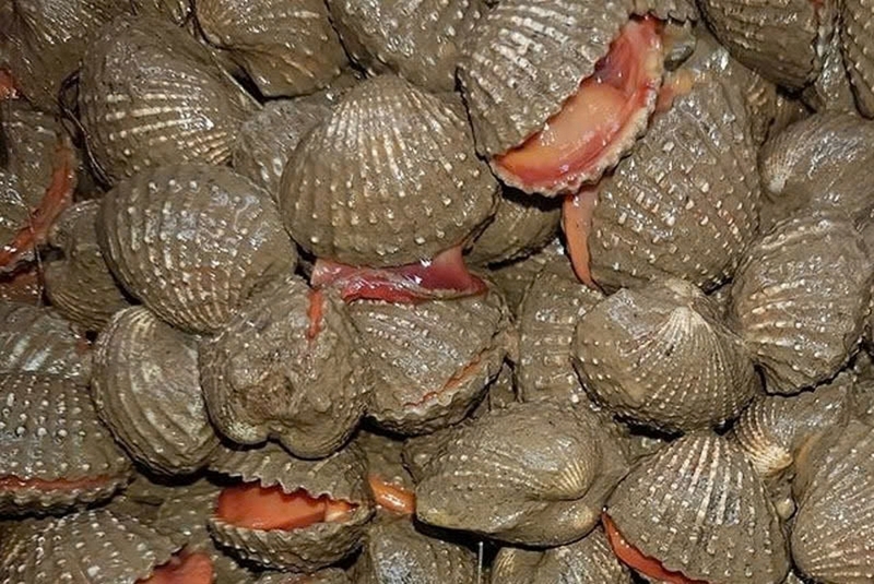 sò gạo ảnh 2