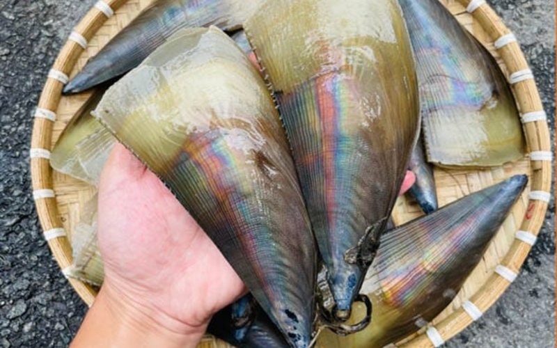 Sò mai nướng phô mai (ảnh 2)