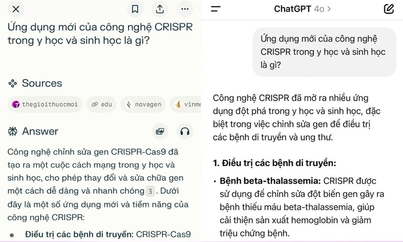 So sánh ChatGPT và Perplexity 6