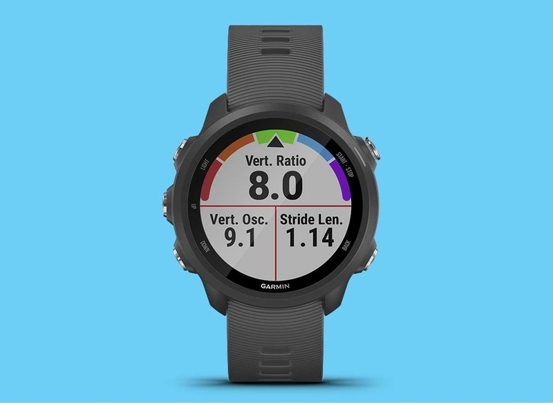 garmin 245