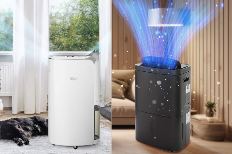 So s&aacute;nh m&aacute;y h&uacute;t ẩm LG v&agrave; Electrolux (3)