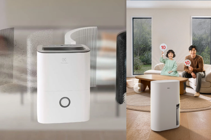 So s&aacute;nh m&aacute;y h&uacute;t ẩm LG v&agrave; Electrolux (4)