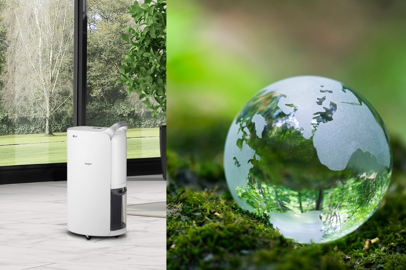 So s&aacute;nh m&aacute;y h&uacute;t ẩm LG v&agrave; Electrolux (5)