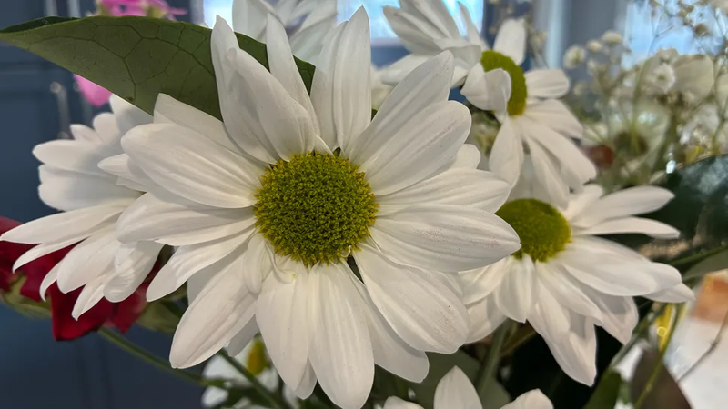 So sánh OPPO A7 Pro và iPhone 16e - hình 14
