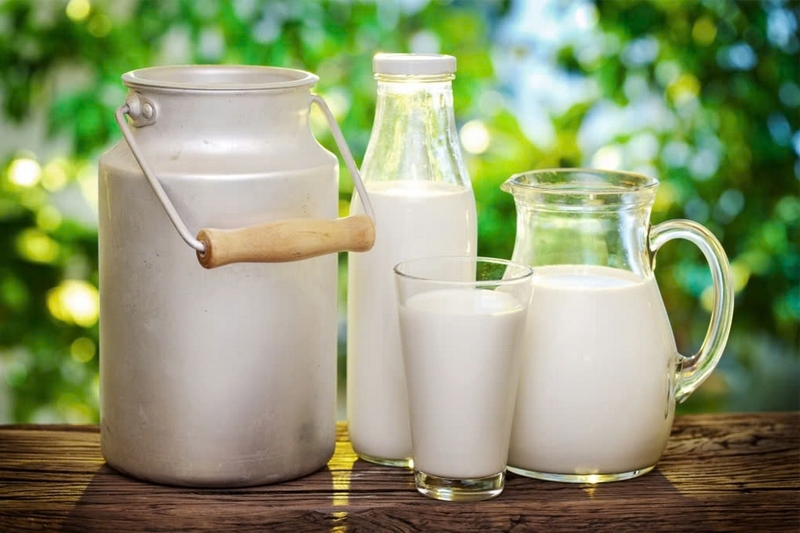 So sánh sữa hạt và sữa bò ảnh 1