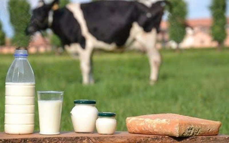 So sánh sữa hạt và sữa bò ảnh 4