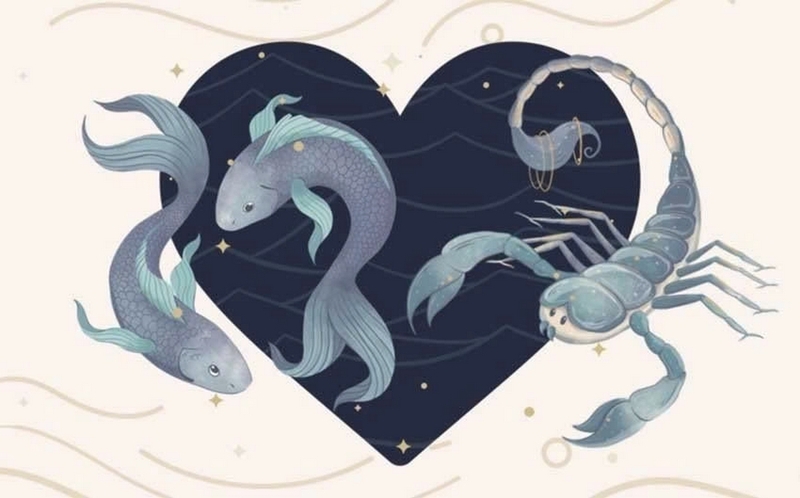 Song Ngư và Bọ Cạp có hợp không ảnh 1