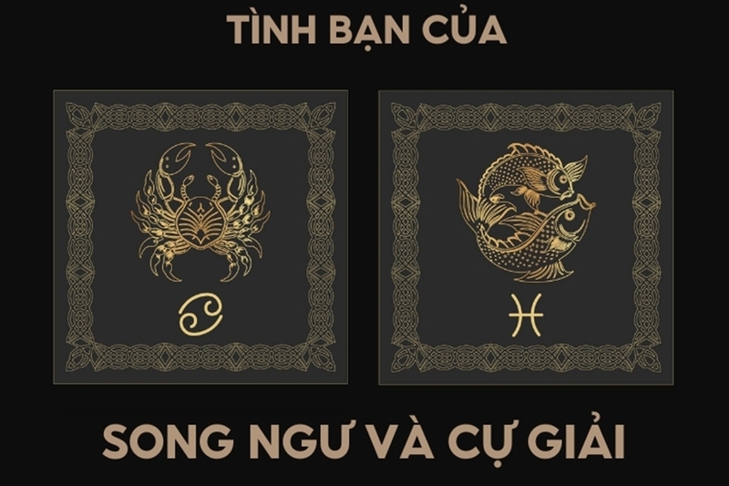 song-ngu-va-cu-giai-co-hop-nhau-khong-c.jpg