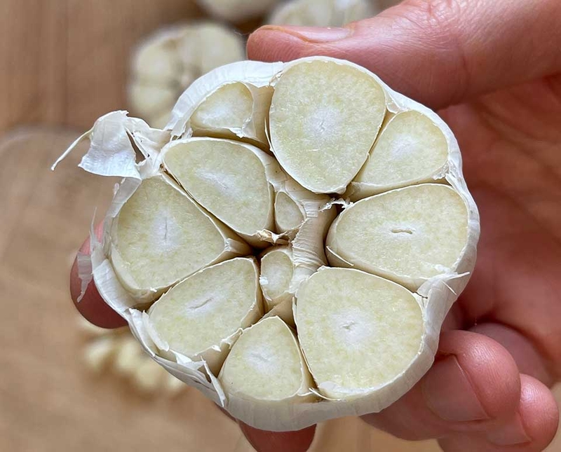 Sốt tỏi dầu olive - 05