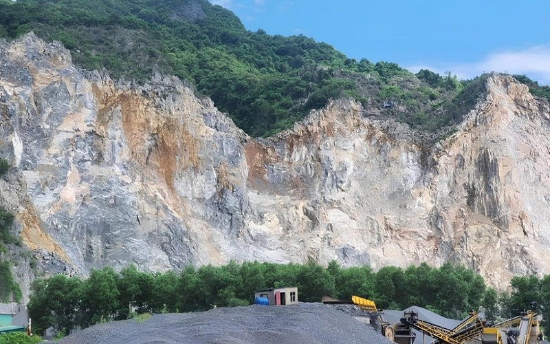 Khu vực phân bố