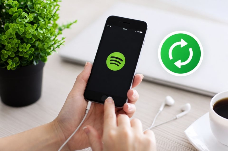 spotify không phát được nhạc (ảnh 4)