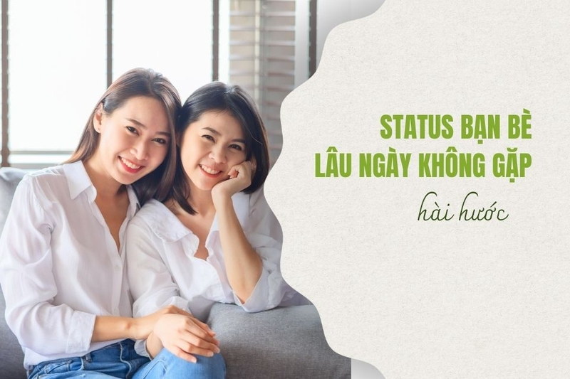 status bạn bè lâu ngày không gặp hài hước