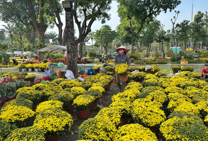 STT bán hoa Tết bằng thơ