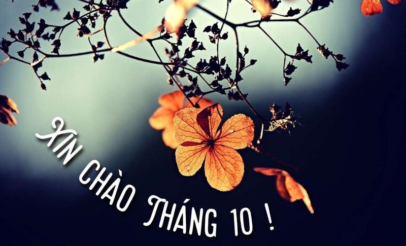 STT chào tháng 10 (ảnh 1)