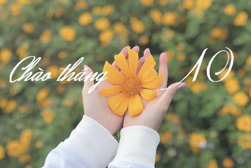 STT chào tháng 10 (ảnh 2)