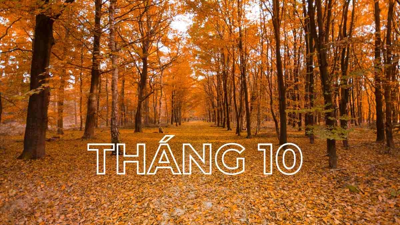 STT chào tháng 10 (ảnh 3)