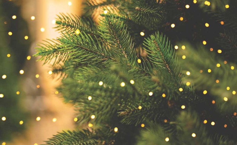 Stt chúc Giáng sinh 2025 - 04