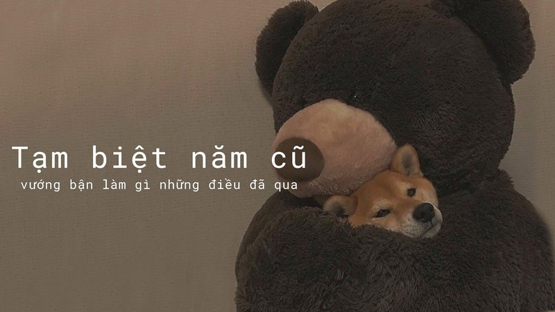 STT cuối năm cho bản thân ảnh 6