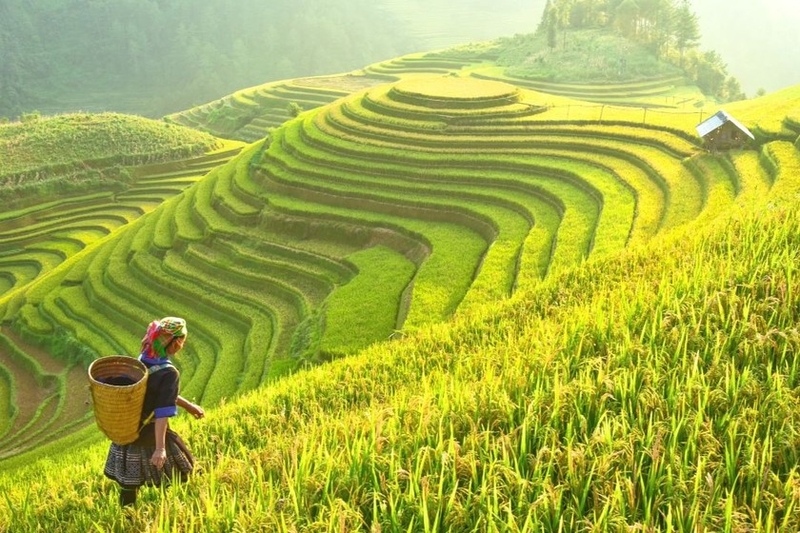 STT du lịch hài hước ảnh 3