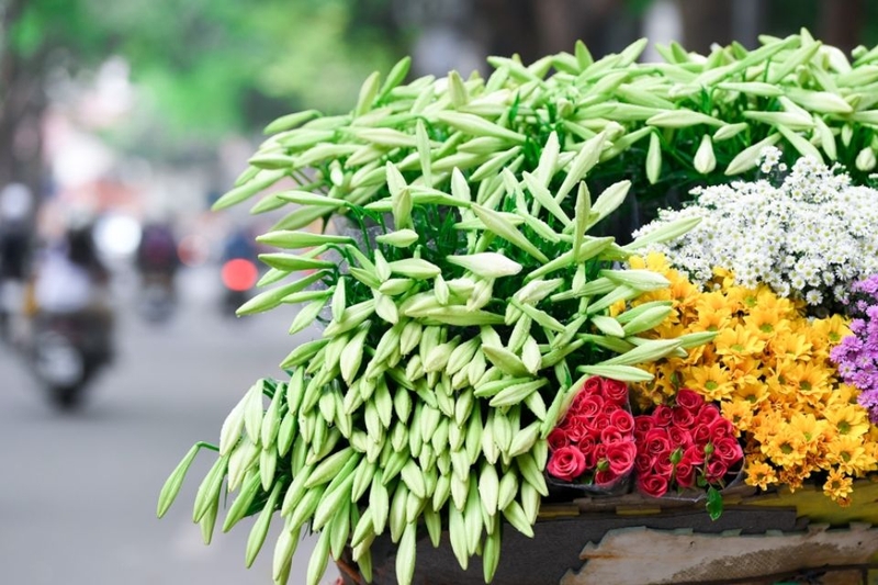 stt hay về hoa loa kèn (ảnh 1)