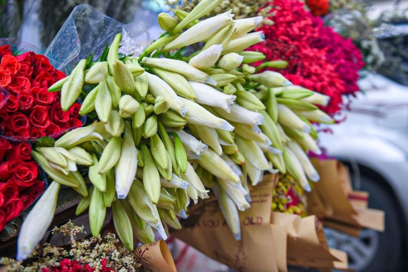 stt hay về hoa loa kèn (ảnh 3)