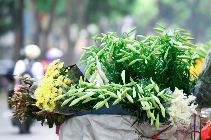 stt hay về hoa loa kèn (ảnh 4)