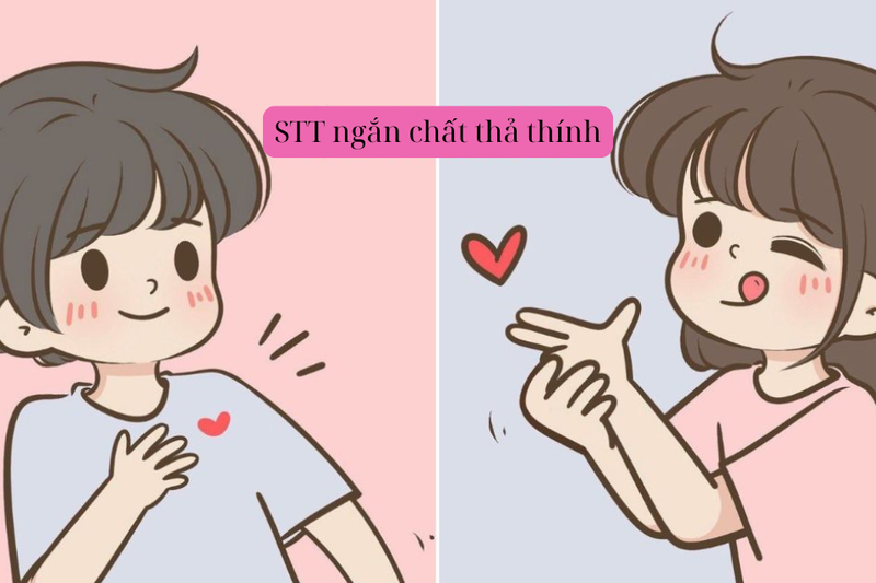 stt ngắn chất (2)
