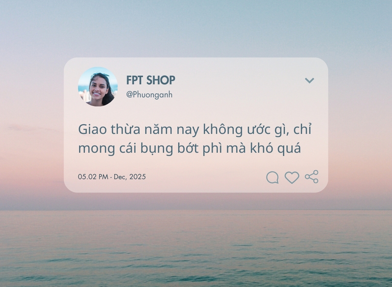 STT Tết Âm Lịch 2025 hài hước (ảnh 3)