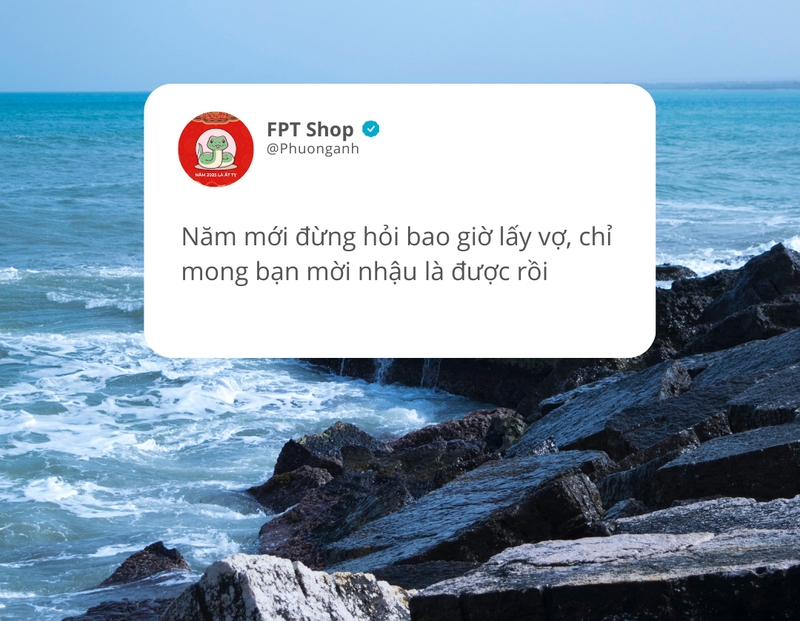 STT Tết Âm Lịch 2025 hài hước (ảnh 4)
