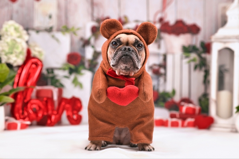 STT Valentine 2025 hài hước 4