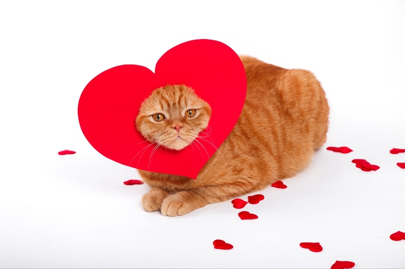 STT Valentine 2025 ngắn gọn 3