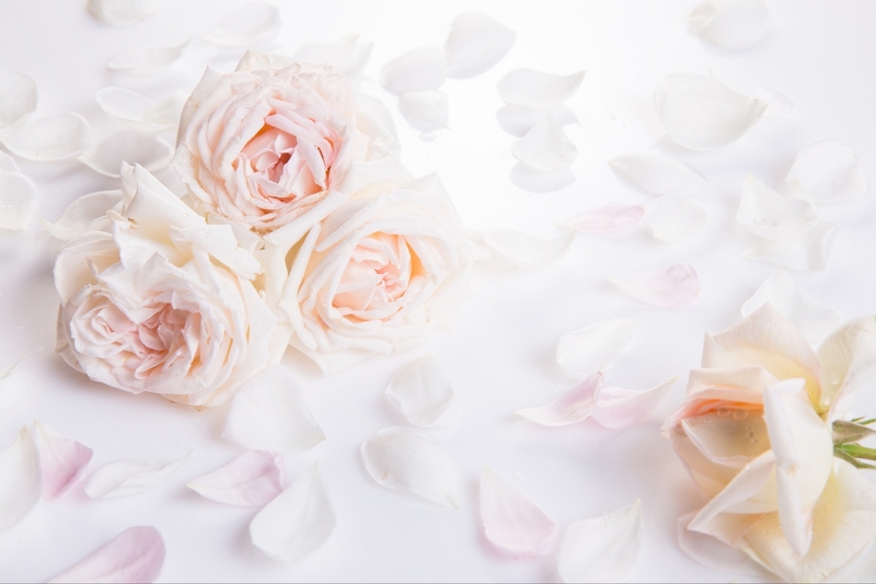 stt valentine trắng 3
