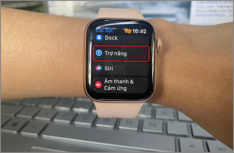 sử dụng Thu phóng trên Apple Watch 2