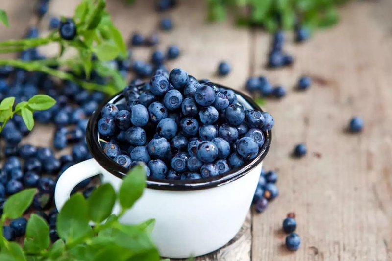 sữa chua việt quất hình 3