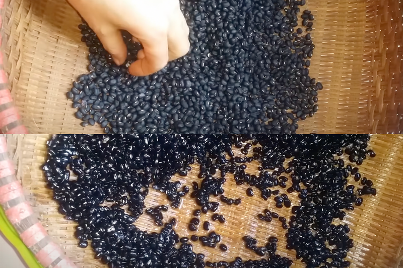 sữa hạt đậu đen (2)