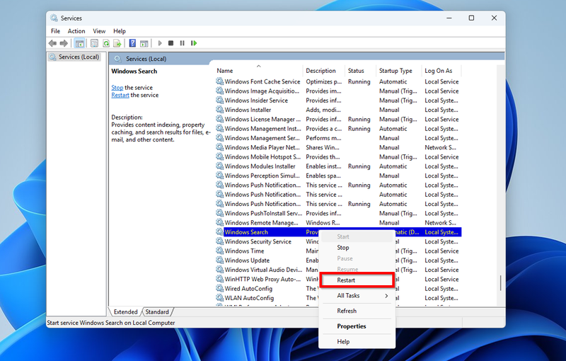 cách sửa lỗi thanh tìm kiếm Windows 11 không hoạt động ảnh 3