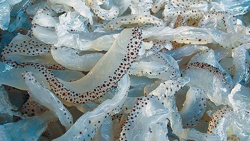Sứa xào cần tây 4