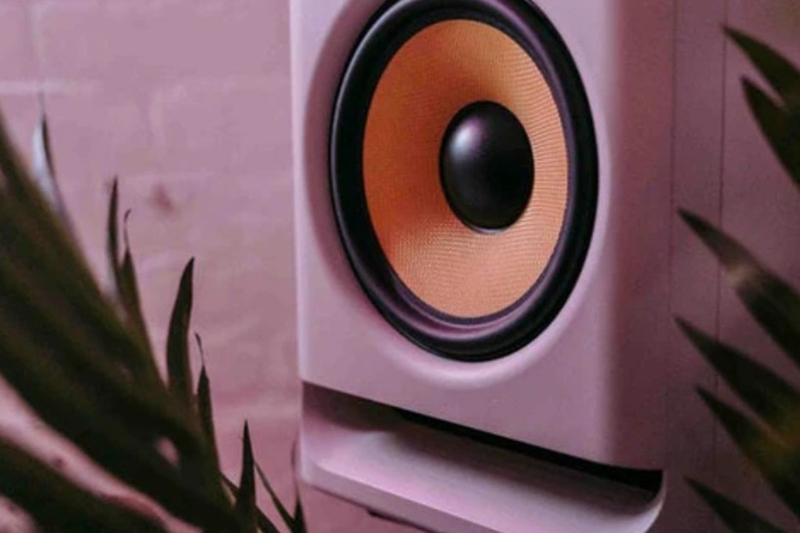 Subwoofer là gì 11