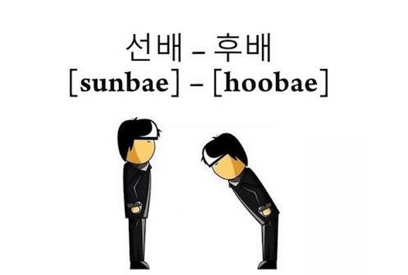 sunbae là gì ảnh 3