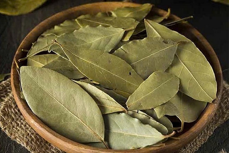 súp cà chua ảnh 4